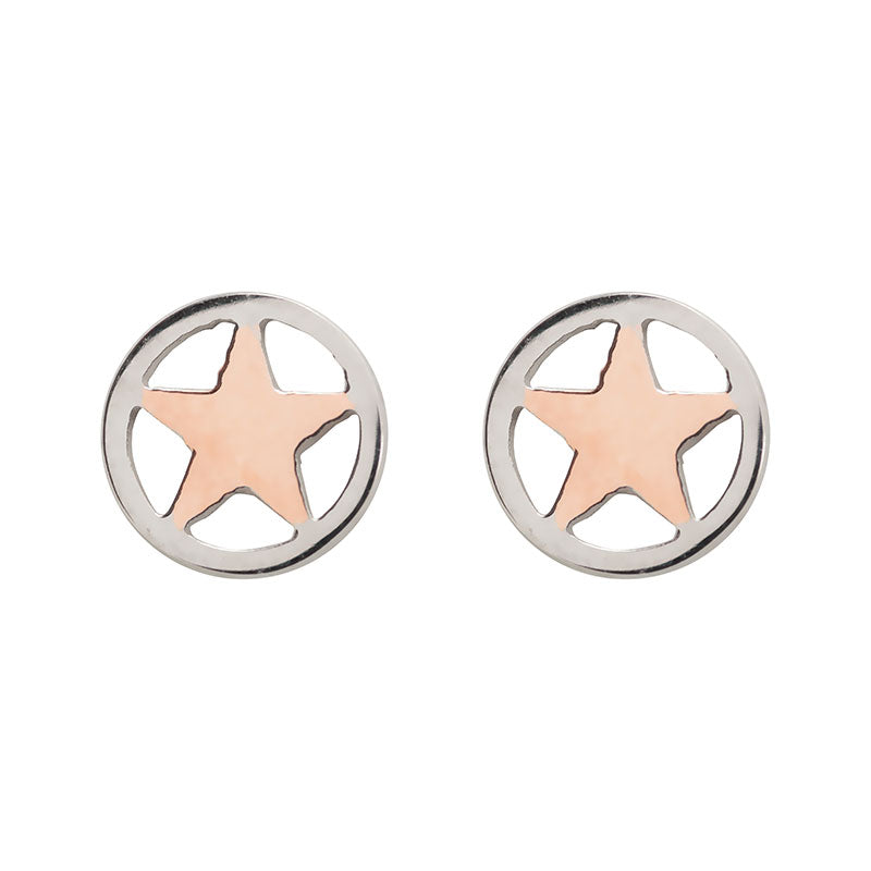 Ear studs Star